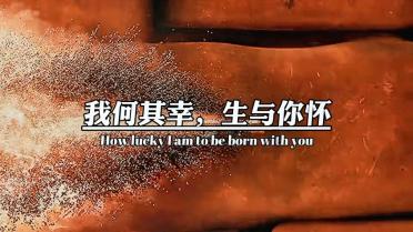 神奇小子龙之陷阱